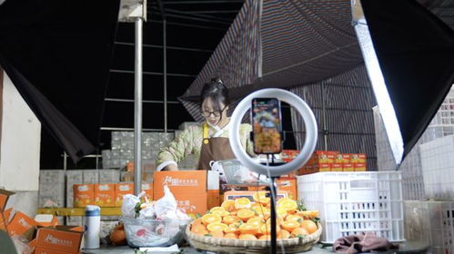 temu狂奔,正在抬高拼多多的增長天花板