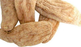 農(nóng)村致富養(yǎng)殖