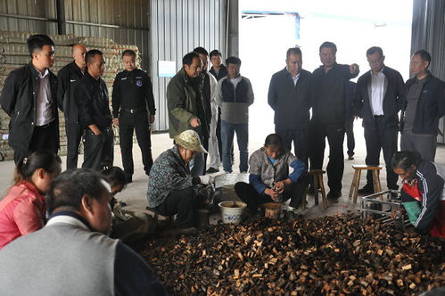 州委書記桑維亮赴鎮(zhèn)遠縣氵舞陽鎮(zhèn)調(diào)研林下經(jīng)濟天麻產(chǎn)業(yè)