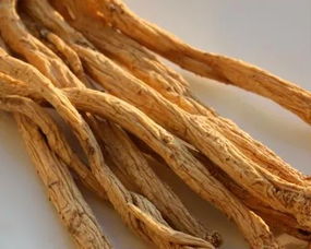 即墨古城年味濃 趕年集購(gòu)隴南天麻，賞白馬人歌舞迎新春